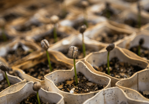 2024-07-27 20_59_22-2024-07-27 19_25_53-christian-joudrey-aO_jMXTduUE-unsplash.jpg ‎- Photos.png ‎-